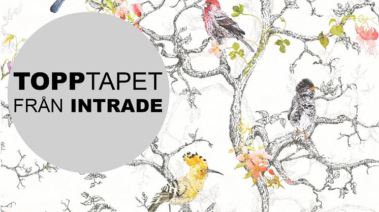 InTrades mest sålda tapet, i topp sedan 2014