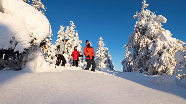 Happy skiers in Trysil. Photo: Ola Matsson, SkiStar