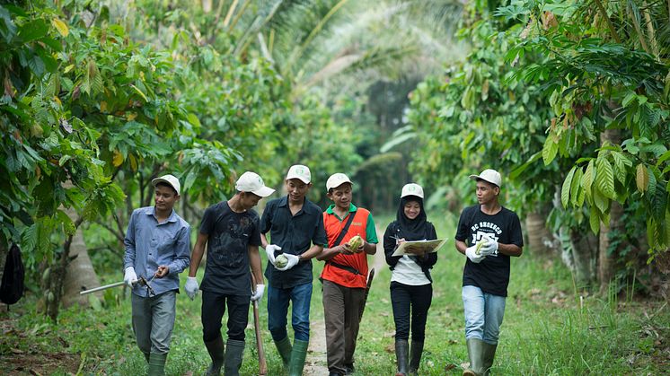 Cocoa Life_communities_Indonesia_05