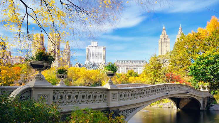 DEST_USA_NEW_YORK_BOW_BRIDGE_GettyImages-149456359_Universal_Within usage period_93686 (1).jpg