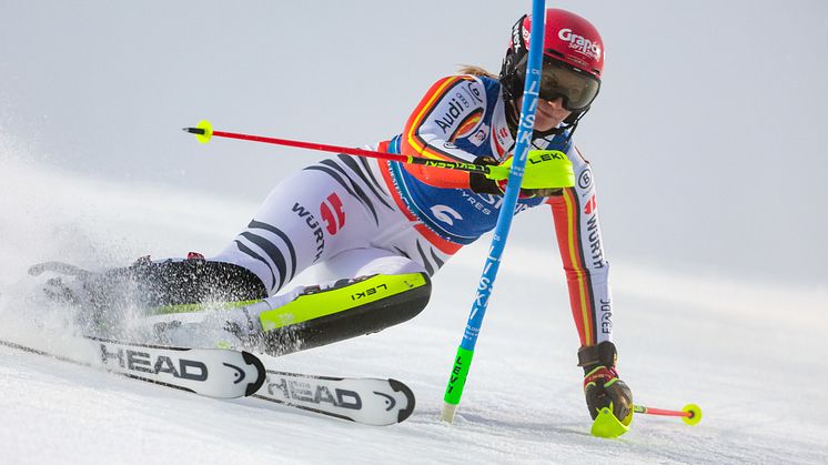 Duerr_L_Levi_SL_2024.jpg