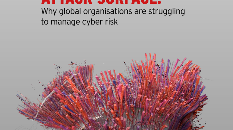 Mapping the digital attack surface.pdf