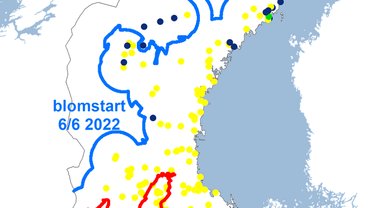 fsk_liljekonvalj2022