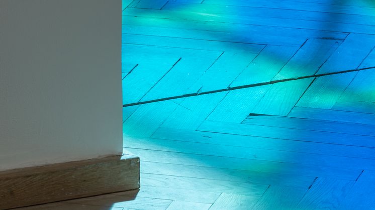 Alexander Tovborg, Church Windows (nature), 2023. 