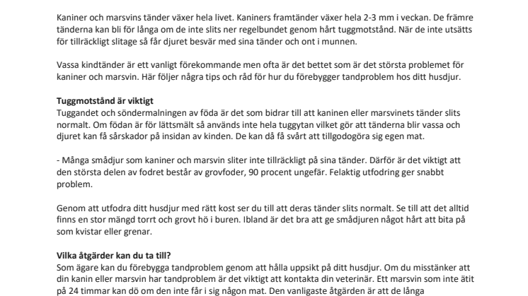 ​​Förebygg tandproblem hos ditt smådjur 