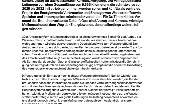 20240723_Pressestatement_Kernnetz.pdf