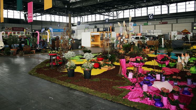 Farbenfrohe Pracht: die Verbrauchermesse "Haus-Garten-Freizeit" - Foto Theresa Wappes