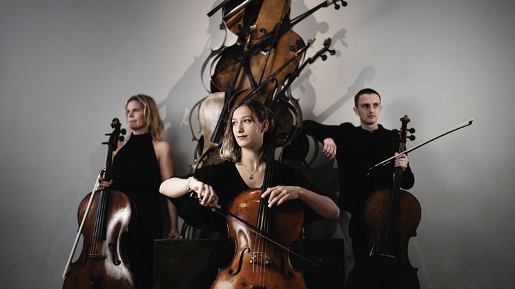 Flerhalsad cello (Armán)