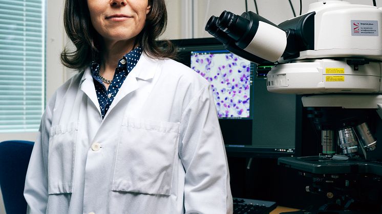 Åsa Wheelock, docent i experimentell lungmedicin och medicinskt sakkunnig på Hjärt-Lungfonden