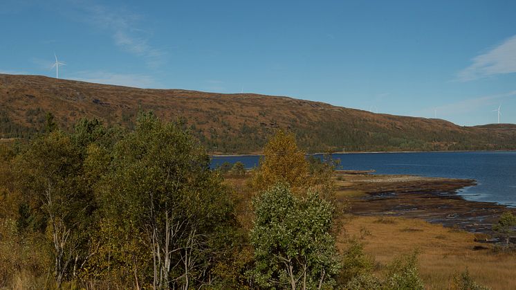 Geitfjellet vp fra Våvatntet visualisering 2017