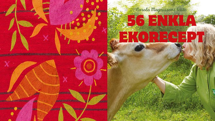 Ekokocken Carola Magnusson gästar Vaggeryds kommun på årets Earth Hour
