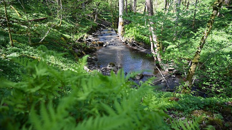 Kärraån