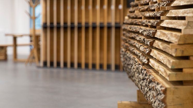 Oak log at Bjelin Showroom Helsingborg