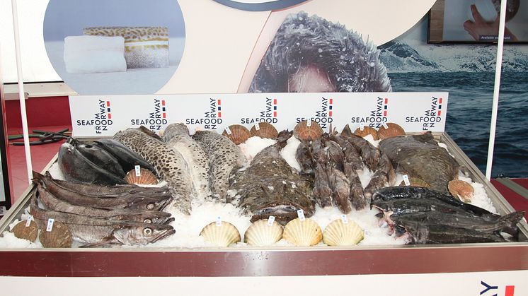 Seafood Valladolid 6Nov