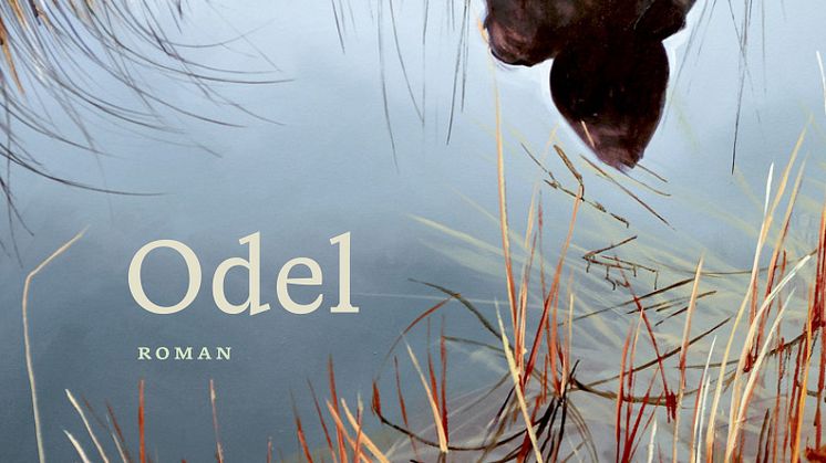 9788234008160 Odel