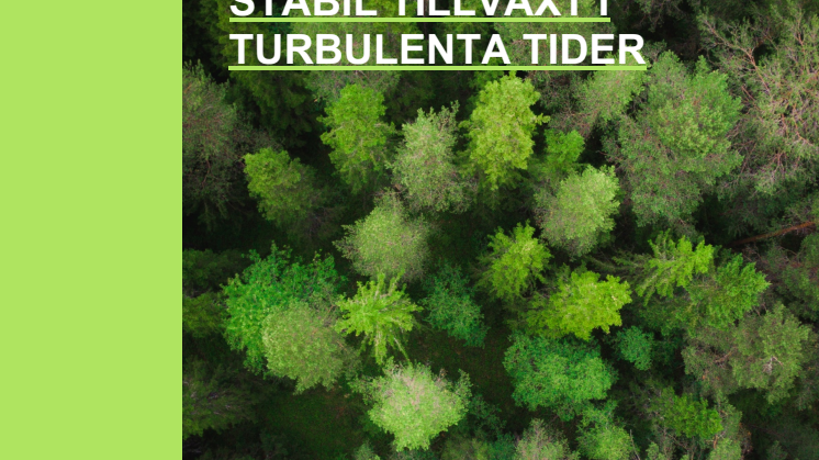 Stable Return 3 år - Stabil tillväxt i turbulenta tider