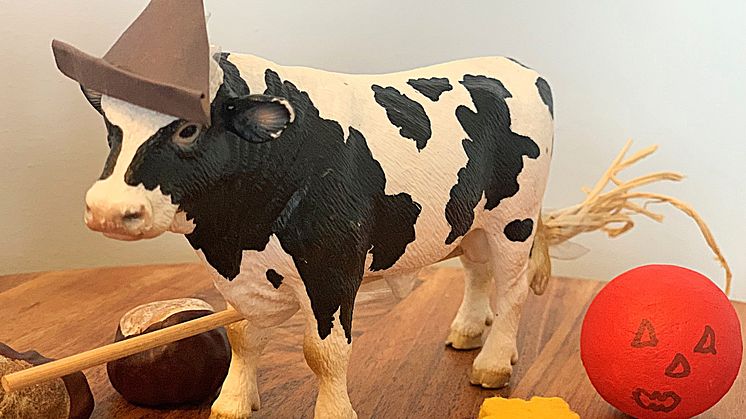 Halloween cow