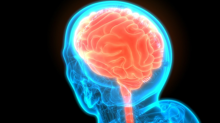 The new study will explore biological, psychological and social factors associated with brain health in female military veterans.