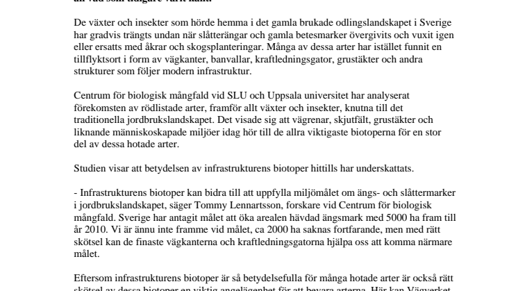 Vägkanter räddningsflotte för hotade arter