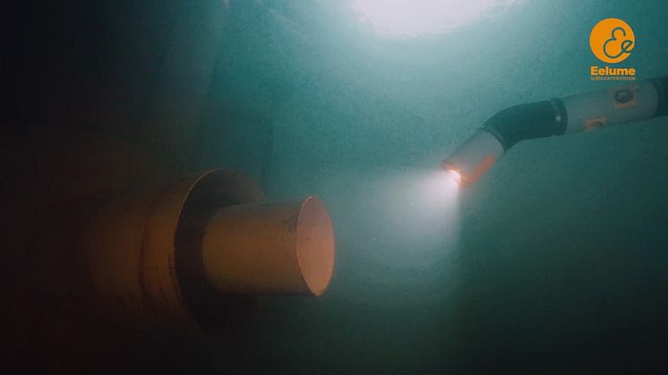 Video - Kongsberg Maritime - Eelume in action - short