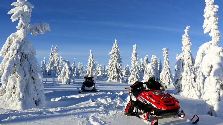 Skoterns framtid i Älvdalsregionen är hotad. Foto: Maria Brun Thegerström/Mostphotos