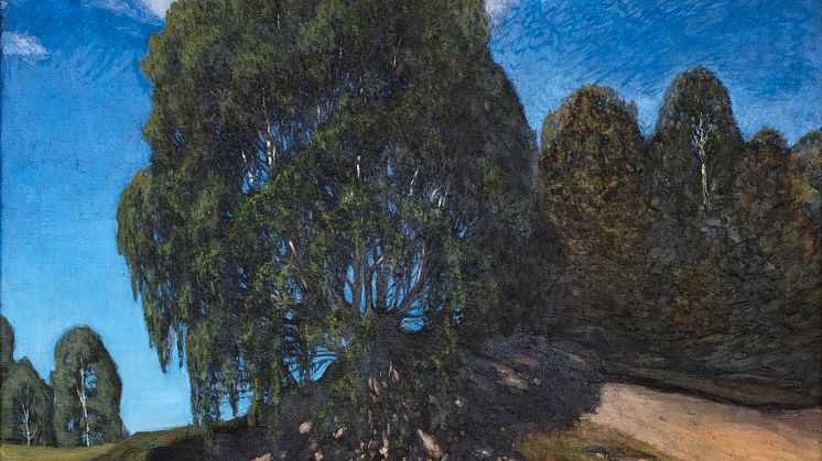 Ester Almqvist, Hängbjörken, 1900, olja, Per Ekströmmuseet
