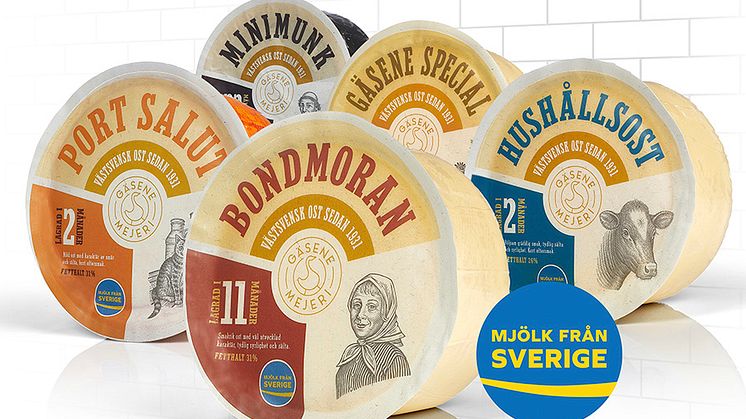 Gäsene är det enda området i Sverige där antalet kor och mjölkproduktionen ökar år från år, tack vare den populära Gäsene-osten. 
