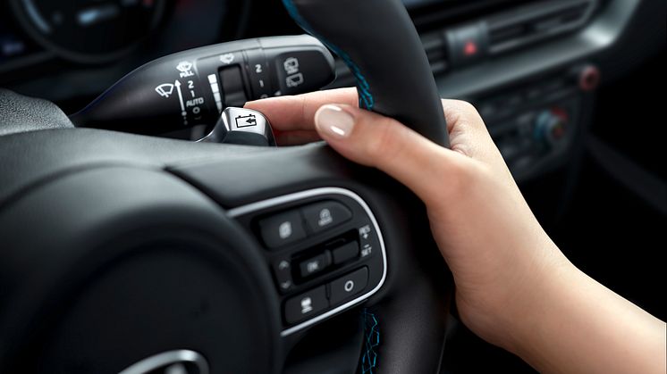 Kia e-Niro 2020 detail