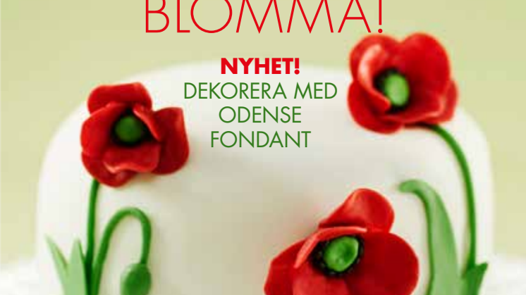 Broschyr Odense Fondant