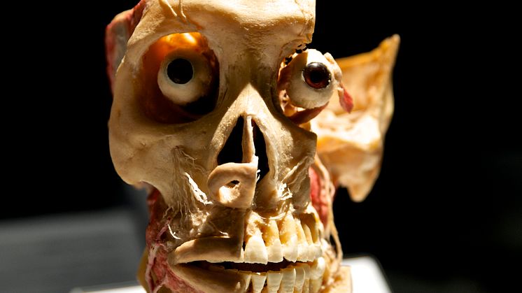 Mortui vivos docent. 