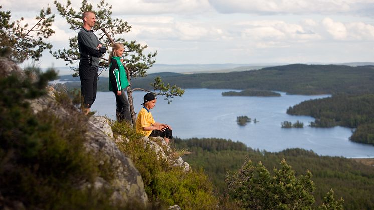 Ärtknubben Dalarna Foto Per Eriksson