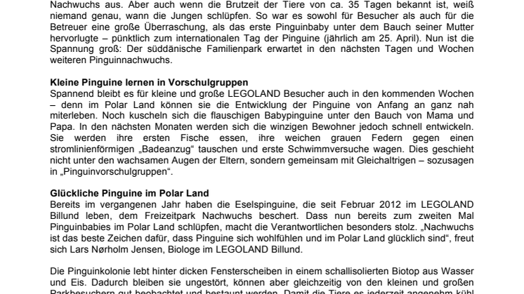 Kunde | LEGOLAND: Pünktlich zum Welt-Pinguin-Tag: Pinguinbabies schlüpfen im LEGOLAND Billund