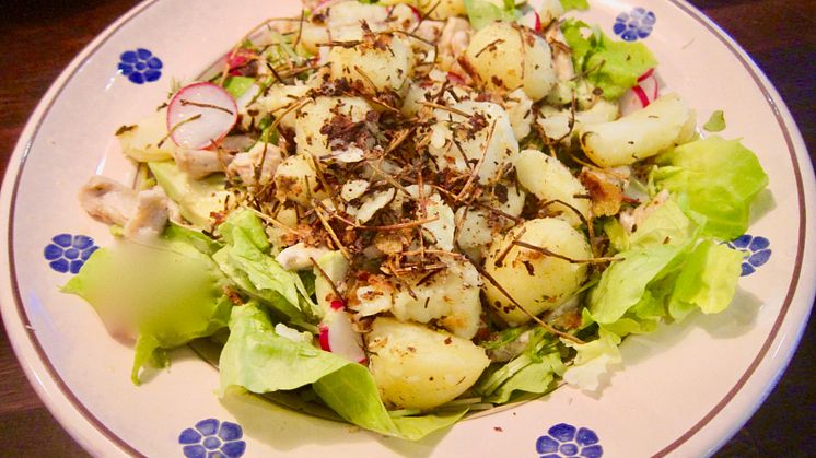 Sallad med stekt potatis, kyckling och avokado
