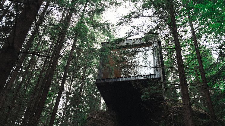 Hyssna Forest Resort - Treetop Cabin Foto_ Hyssna Forest Resort 17.jpg
