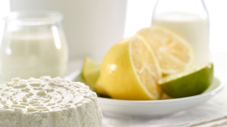 Färskostburken cheese maker