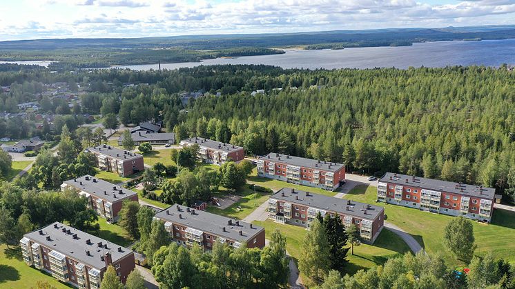 Trumbäckens fastigheter på Furuberget, Piteå
