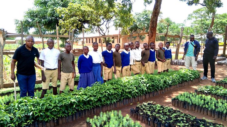 Educatius Exceeds Tree Planting and Sustainability Commitments in 2023 