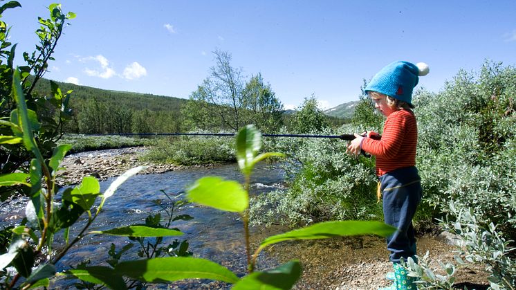 Hemsedal sommar vandring