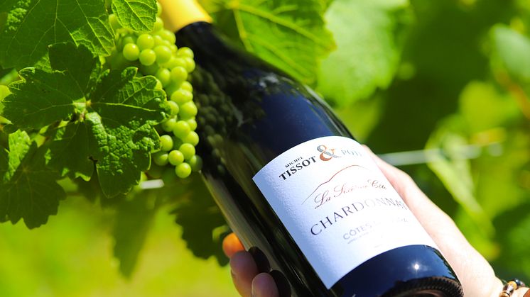 Högklassig, frisk och ekfatslagrad Chardonnay från trendiga vinregionen Jura