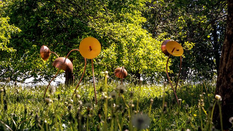 Louise Mackenzie – Attractor - 2025 - PHOTO Eivind Lauritzen © 2025 Galleri F 15
