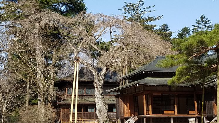 Nikko Tamozawa Imperial Villa Momental Park