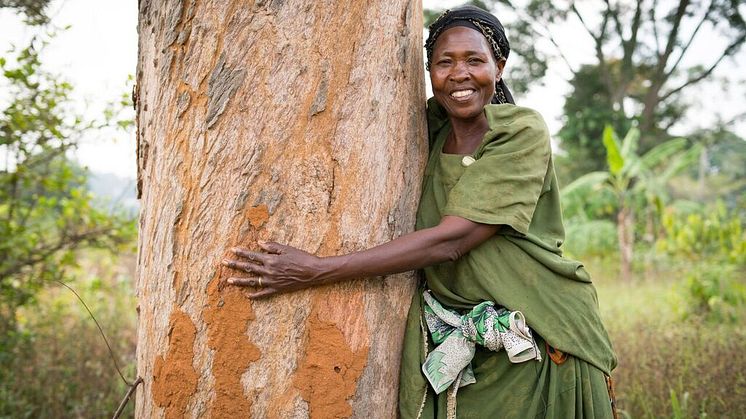 Fotograf: Elin Larsson. Francis Nakitto i Uganda kramar sitt första Vi-skogenträd – 25 år gammalt! Tidigare var det svårt att få lyckade skördar. Tack vare träden får hon ut mer grödor och kan försörja sin familj.