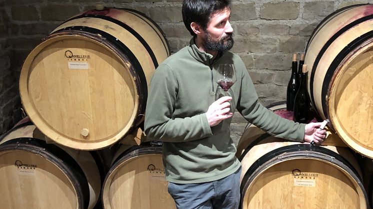 Årgång 2018 från Sylvain Cathiard et Fils släpps på Systembolaget den 14:e januari.