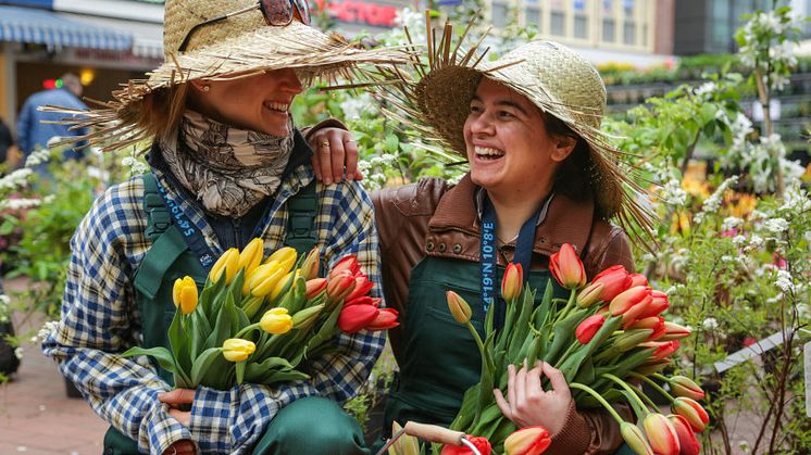 Gemeinsam den Frühling in der Kieler Innenstadt willkommen heißen (c) Nicole Riederer, Kiel-Marketing