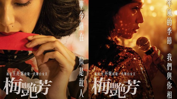 Posters of the film Anita