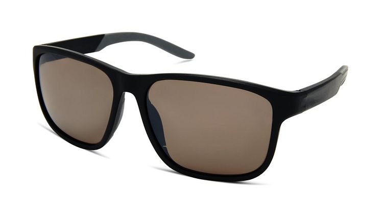 RIGEL Aquarii Brown Polarized