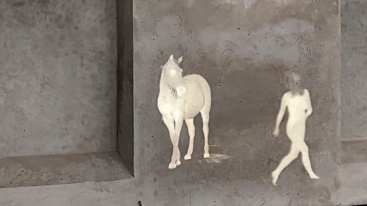 Tove Kjellmark, videoinstallation, Färgfabriken 2022