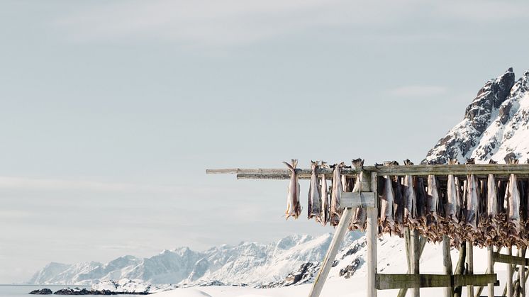 Norwegian Stockfish 1 - NSC and Kristoffer Lorentzen