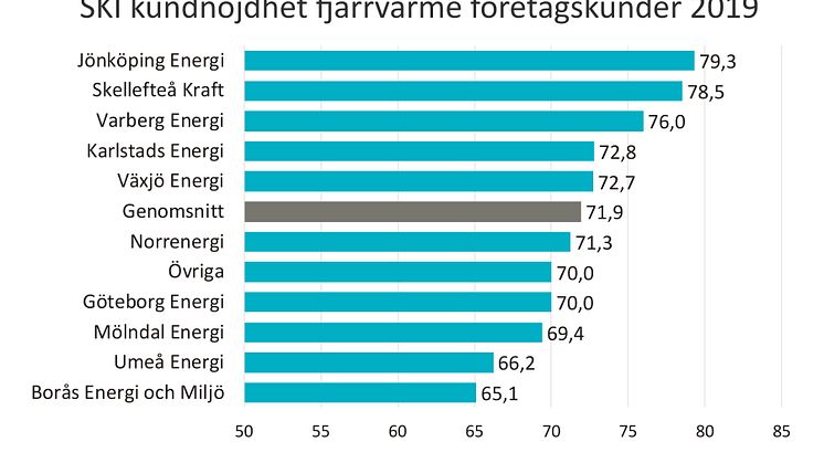 SKI fjärrvärme företagskunder 2019