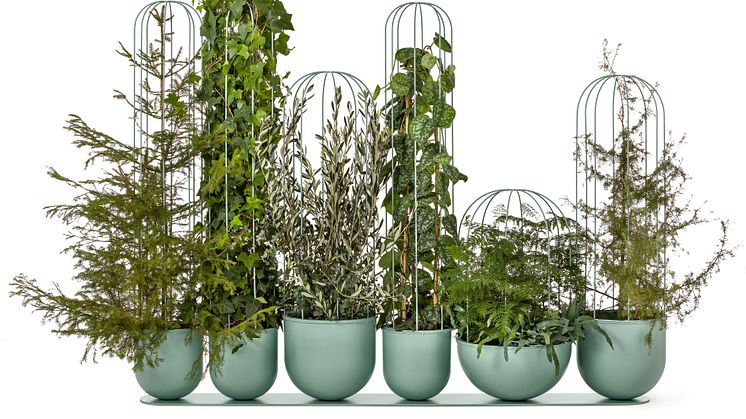 Cacti planter, design Anki Gneib